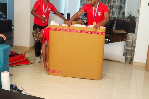 Courier Global Logistic in Bharatpur