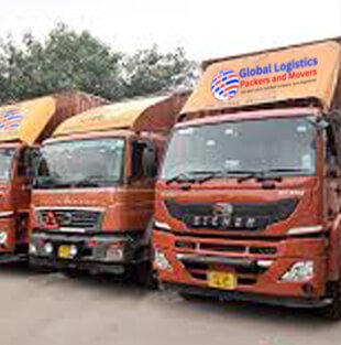 about Global Logistic