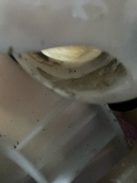 Sri Krishna  review Global Logistic